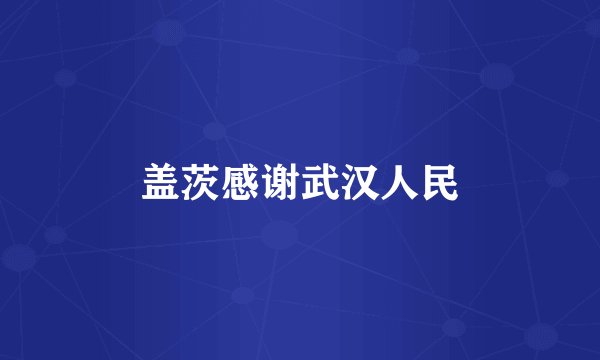 盖茨感谢武汉人民