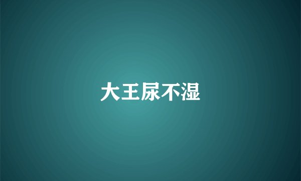 大王尿不湿