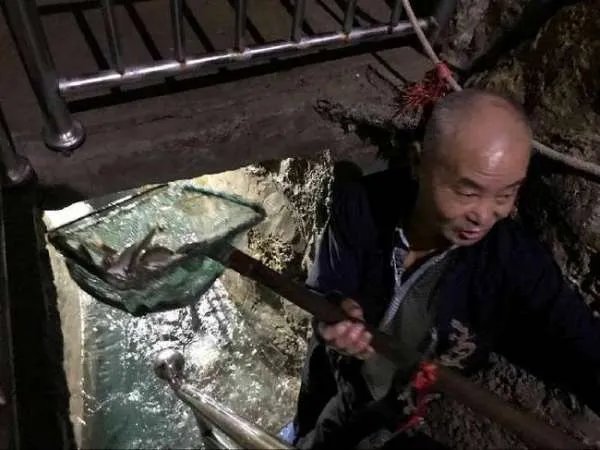 重庆巫溪神秘鱼泉是怎样的?