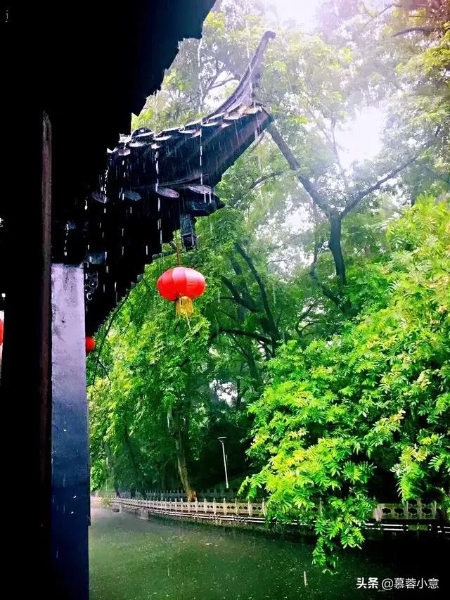 现在种植什么药材能够赚钱?