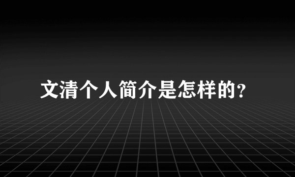 文清个人简介是怎样的？