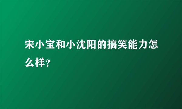宋小宝和小沈阳的搞笑能力怎么样?