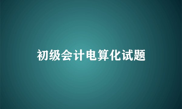 初级会计电算化试题