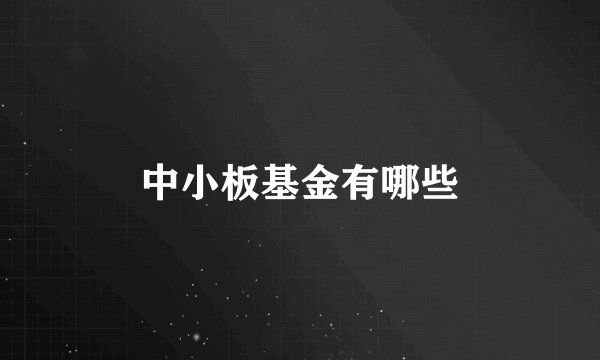 中小板基金有哪些