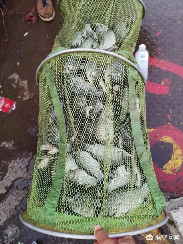 哪里有比较幽静的钓鱼的地方?