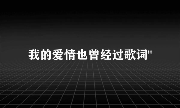 我的爱情也曾经过歌词