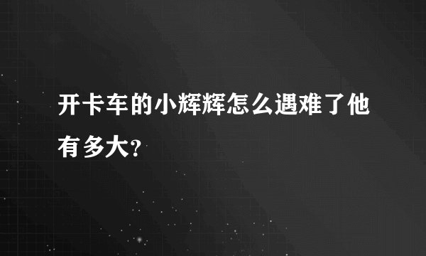 开卡车的小辉辉怎么遇难了他有多大？