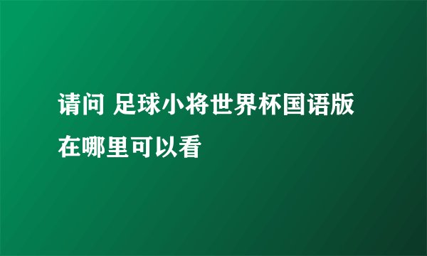 请问 足球小将世界杯国语版 在哪里可以看
