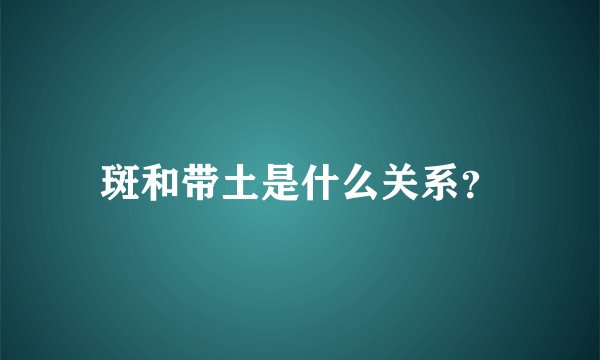 斑和带土是什么关系？
