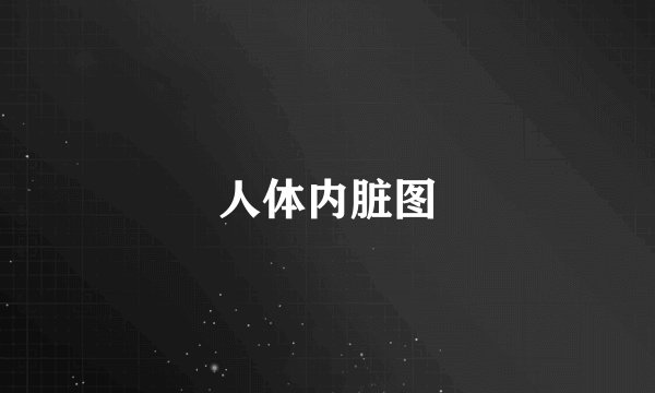 人体内脏图