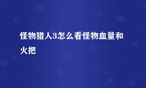 怪物猎人3怎么看怪物血量和火把