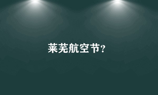 莱芜航空节？