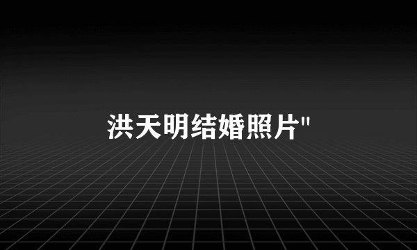 洪天明结婚照片