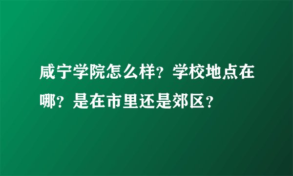 咸宁学院怎么样?学校地点在哪?是在市里还是郊区?