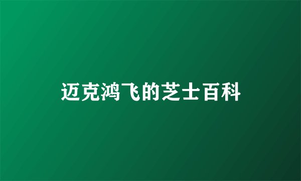迈克鸿飞的芝士百科