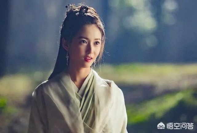 假如赵敏、周芷若、小昭、阿离、不悔,这五人来到现在这个社会,你会选哪个?