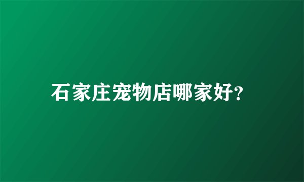 石家庄宠物店哪家好？
