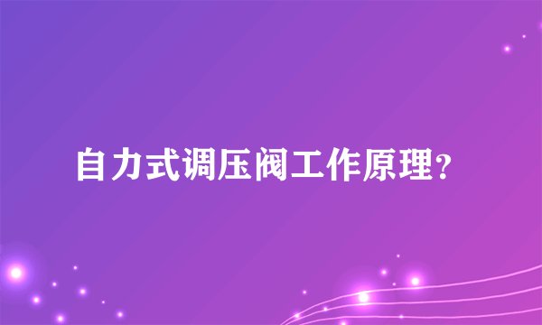 自力式调压阀工作原理？