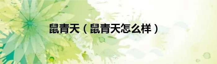 鼠青天(鼠青天怎么样)