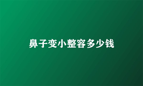 鼻子变小整容多少钱