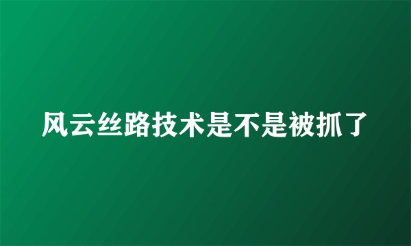 风云丝路技术是不是被抓了