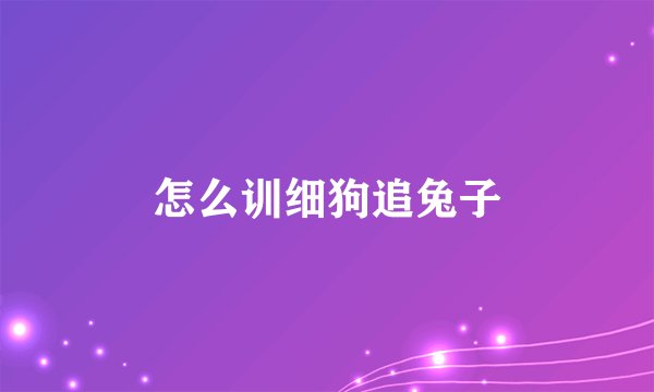 怎么训细狗追兔子