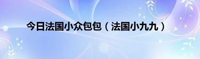 今日法国小众包包（法国小九九）