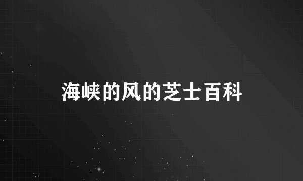 海峡的风的芝士百科