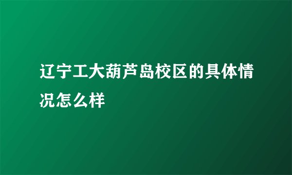 辽宁工大葫芦岛校区的具体情况怎么样