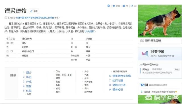 对于“锤系德牧”你怎么看?
