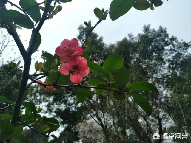 在南宁做快餐行业什么样?主要是外面方面的?