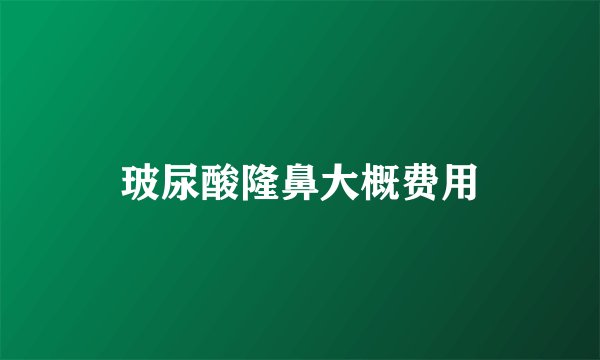 玻尿酸隆鼻大概费用