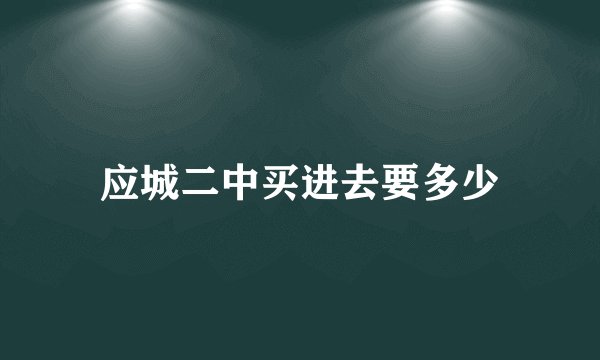 应城二中买进去要多少