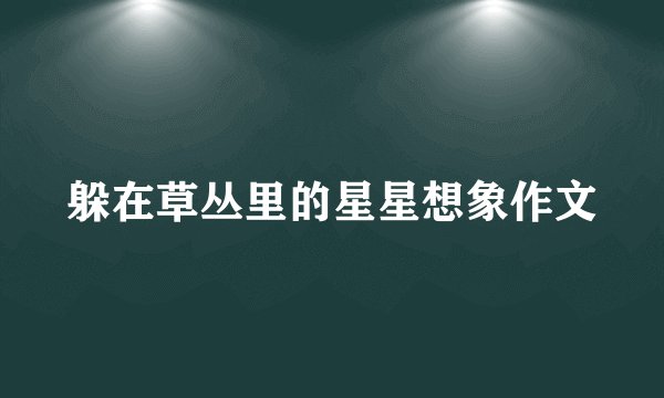 躲在草丛里的星星想象作文