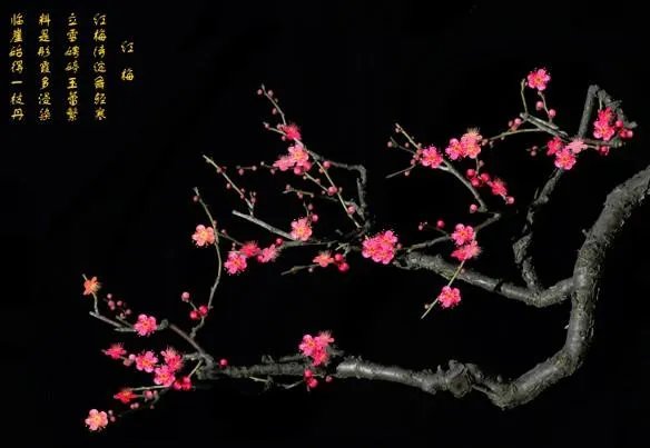 雪花红梅的歌词