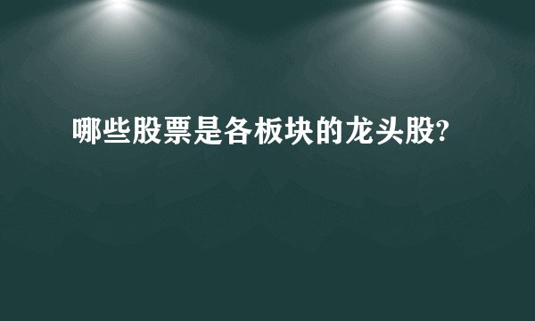 哪些股票是各板块的龙头股?