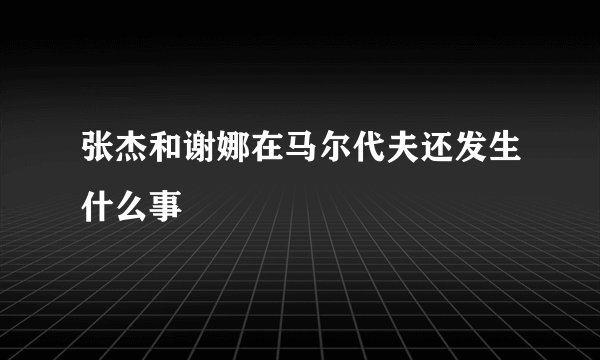 张杰和谢娜在马尔代夫还发生什么事