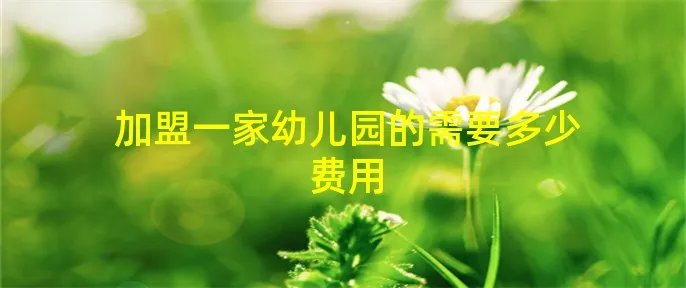 加盟一家幼儿园的需要多少费用