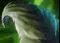 DOTA2破泞之战宝物效果介绍及等级要求