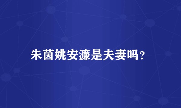 朱茵姚安濂是夫妻吗？