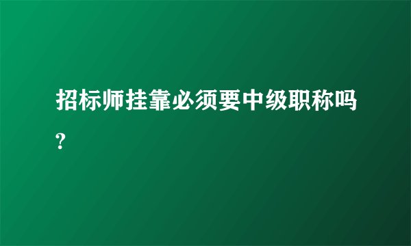 招标师挂靠必须要中级职称吗?