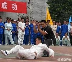 如何评价太极推手?