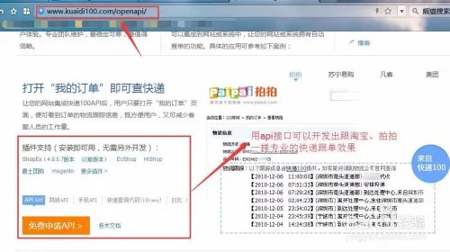 快递100的快递查询窗口如何调用到自己的网站？