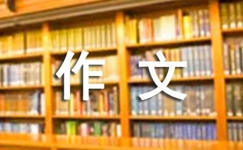 我的收藏作文