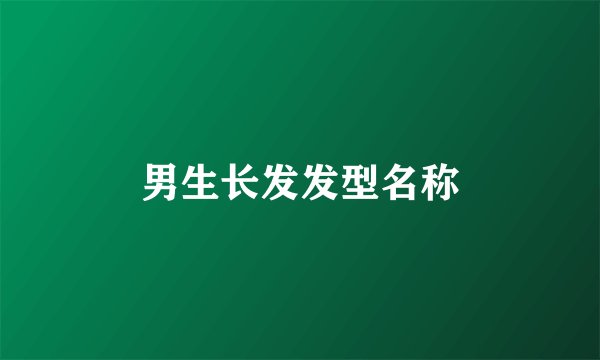 男生长发发型名称