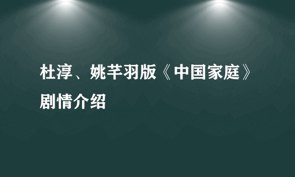 杜淳、姚芊羽版《中国家庭》剧情介绍