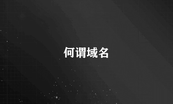 何谓域名
