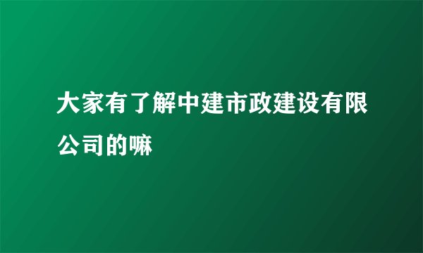 大家有了解中建市政建设有限公司的嘛
