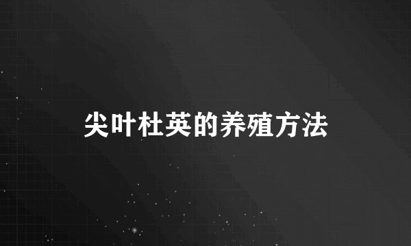 尖叶杜英的养殖方法