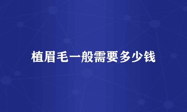 植眉毛一般需要多少钱